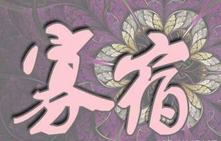 寡宿月柱什么意思，寡宿星