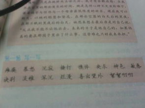 例拼音是什么读的，例的拼音怎么说