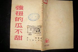 纳婿什么意思