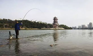 浮漂走水的原因是什么?如何确定浮漂走水?浮漂走水的应对办法有哪些