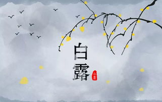 李白的诗《玉阶怨》中“夜久侵罗袜”的上一句