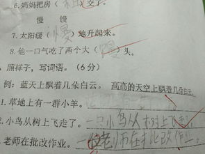 可以造句二年级下册，虽然可以造句