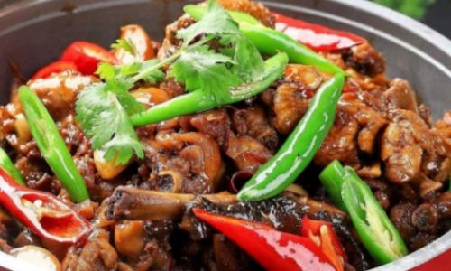 chicken怎么读英语，hot怎么读