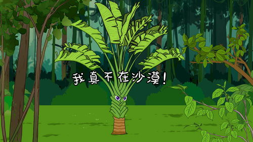从林和丛林的区别是什么?