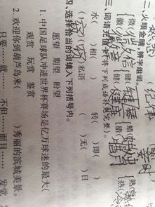 肿可以组什么成语