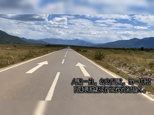 岔路口是什么意思