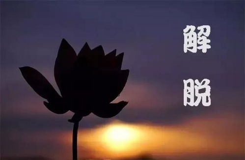 解脱的意思