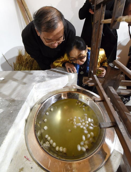 嫘祖缫丝怎么读，缫丝怎么读拼音是什么