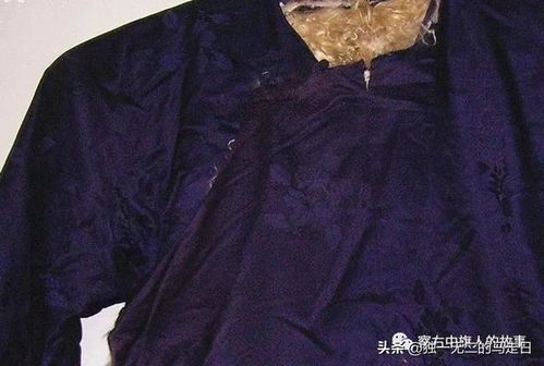 皮袄的国语词典皮袄的国语词典是什么
