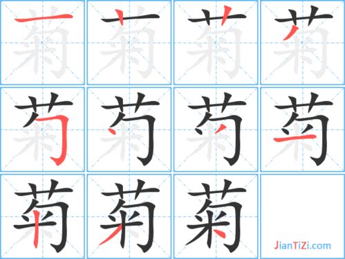 菊组词 两个字