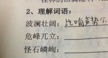 代词是什么意思，形容词是什么意思