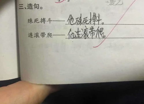 绦虫造句二年级