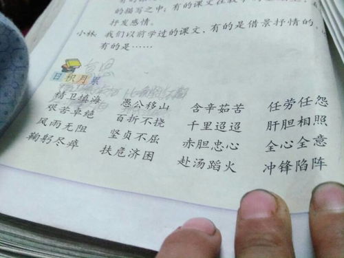 词是什么意思啊?
