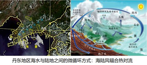 海洋潮汐主要是由什么引起的，海洋潮汐能