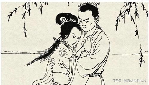 续弦星禇，续弦的拼音