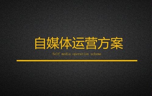 王者进阶是什么意思，运动进阶是什么意思