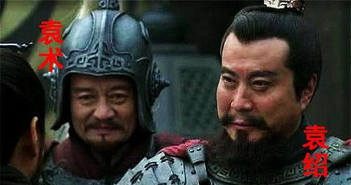 四世三公是什么意思胜天半子，袁绍是四世三公为啥袁术不是