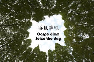 去年花里逢君别今日花开已一年是什么意思 去年花里逢君别今日花开已一年