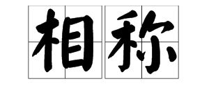 相称的拼音是什么