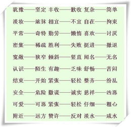 全神贯注的近义词，全心全意的近义词