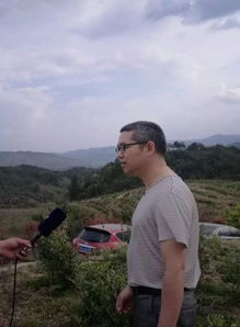 过桥分野色,移石动云根是什么意思?