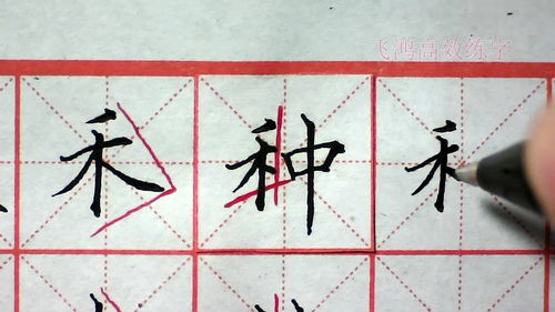 势的拼音组词部首