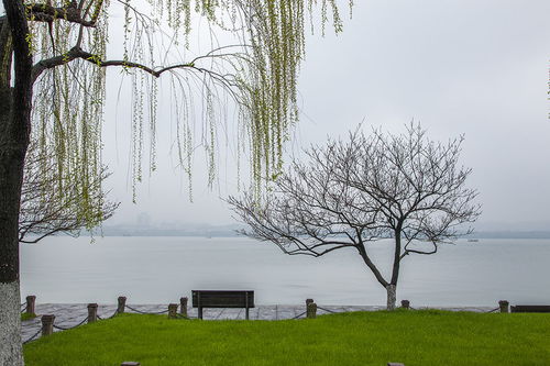 濛濛细雨 朦朦细雨 蒙蒙细雨 哪个是对的?