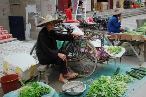 赶歌圩是什么意思，圩是什么意思 字词