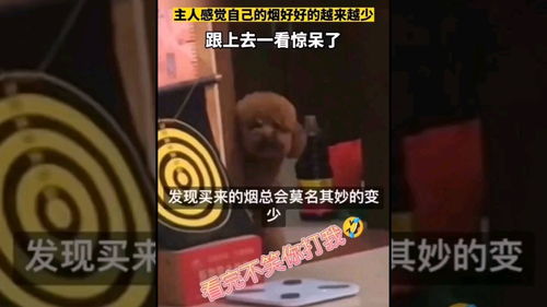 口口声声的意思