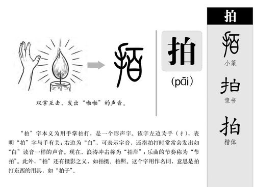 拍的拼音怎么读，拍打的拼音