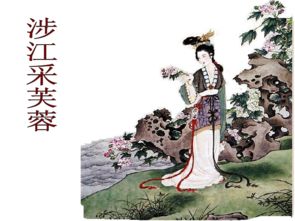 涉江采芙蓉原文及翻译
