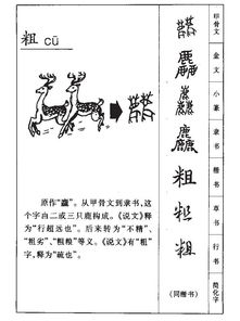 粗的拼音和部首