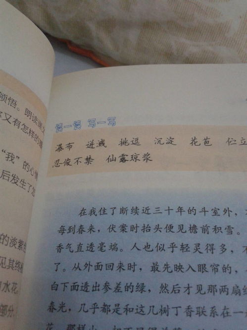 引用拼音怎么拼写，引用的拼音是什么