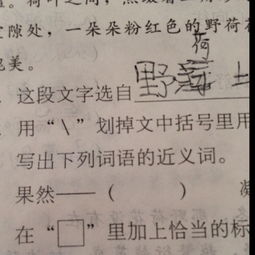 忽然近义词语是什么词