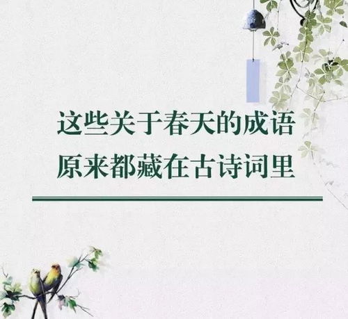 春光的四字成语