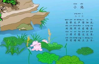 古诗小池