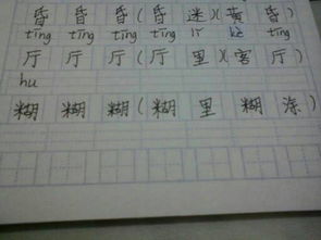 糊弄拼音，稀里糊涂拼音