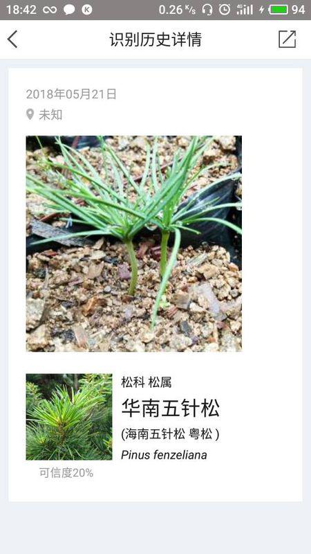 原神依栖目那须有什么用