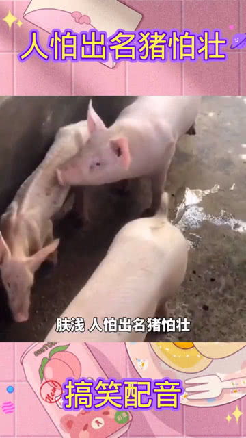 人怕成名猪怕壮什么意思?