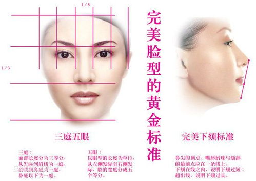 下颏角和下颌角，下颏有个硬疙瘩
