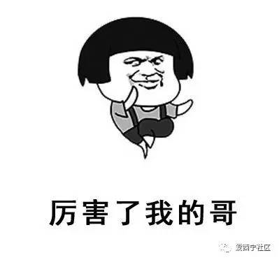 陕西话攒劲是什么意思，青海话攒劲是什么意思
