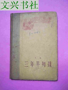 高水平艺术团2024还有吗