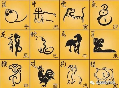 自刑如何化解，自刑罚执行完毕起多少年不能担任主要负责人