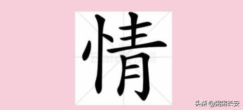 情字笔顺