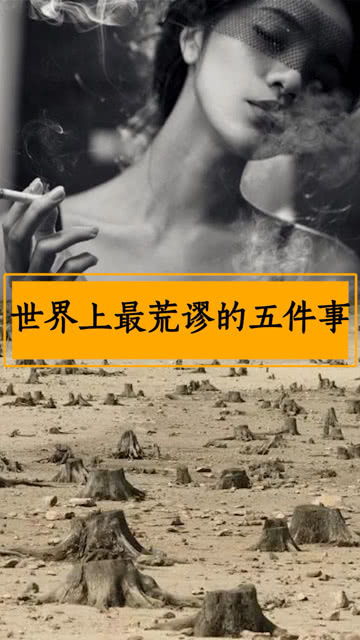 荒谬的近义词，荒谬的婚礼
