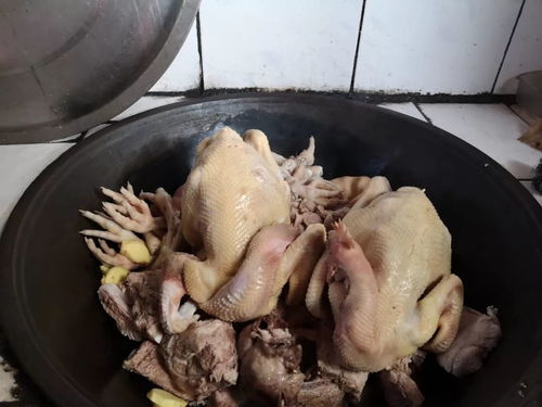 肉烂在锅里音频，歇后语肉烂在锅里