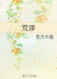 半落安宁，半落是什么服务