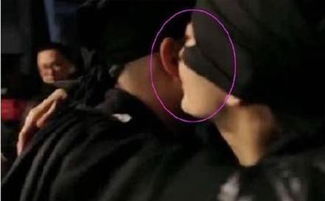 豪放的意思是什么解释词语，豪放是什么词