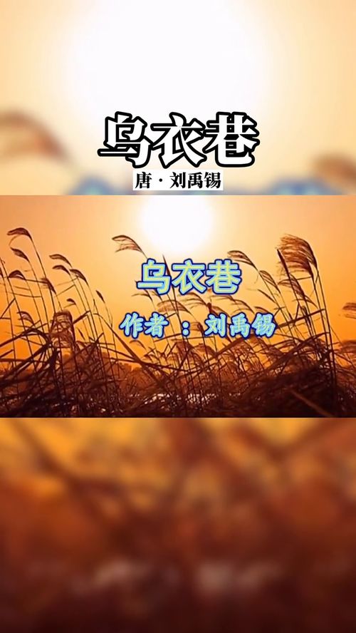 快吃啊 这鱼做的真好吃 (打一4字成语)?