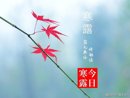 稍息的读音和组词，稍息的读音是第一声还是第四声